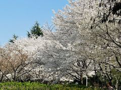-白塘生态植物园