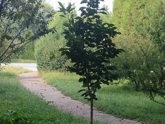 -东北大学(秦皇岛分校)