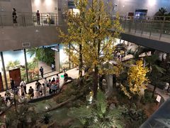 -湖南省地质博物馆