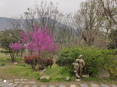 -石塘人家