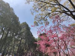 -昆明动物园