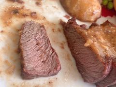 -OLD TREE老树咖啡·西餐厅(台山人工湖店)