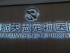 -瑞派·关忠动物医院·猫专科·犬专科(三环新城店)
