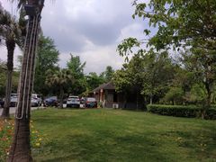 -二荆条·蜀鲜汇城市森林火锅