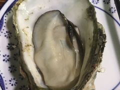 -大富蚝乌东哥饭店·石锅鱼杂·柠檬鸭(革新路店)