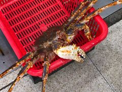 -蚝专家(北滘店)