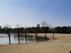 -黄兴公园