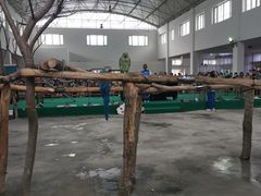 -哈尔滨北方森林动物园