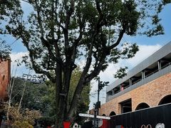 -赤红音乐现场(浦东金桥路店)