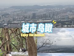 -紫金山山顶公园
