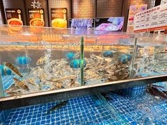 -许爷家·生态湖鲜(徐汇日月光店)