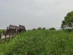 -太湖湖滨国家湿地公园-停车场