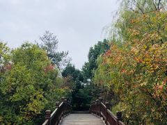 -方岩风景区