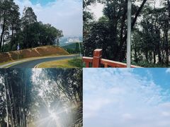 -黄埔油麻山森林公园