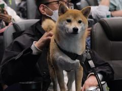 -龙湖成都上城天街