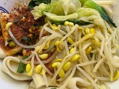 -大嘻咹biangbiang面(历史博物馆店)