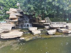 -羊亭河湿地公园