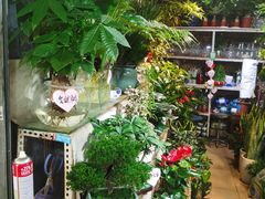 -朝来春花卉市场