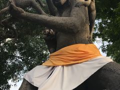 -乌布德传统市场