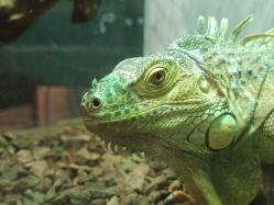 -Zoolung Zoolung动物主题公园(海信广场店)