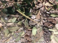 -上海昆虫博物馆