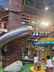 -卡通尼·Safari非洲探索乐园·生日会(金桥国际商业广场店)