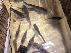 -小媳妇铁锅炖(安华街店)