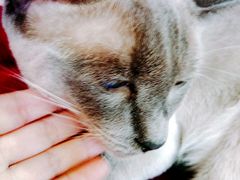 -MIKAKU(万达广场上海宝山店)