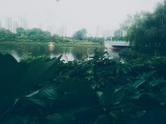 -西安汉城湖景区