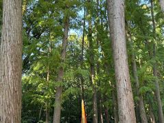 -共青国家森林公园-售票处