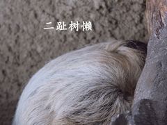 -北京动物园