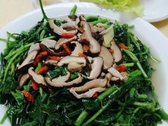 蚝汁西洋菜-蚝家菜馆(沙井店)
