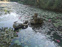 -亚龙湾热带天堂森林公园