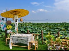 -七的湖·晚芳亭·阳澄湖农家菜·大闸蟹(莲花岛店)
