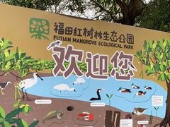 -福田红树林生态公园