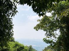 -火炉山森林公园