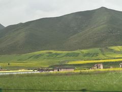 -扁都口生态休闲旅游区