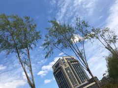 -上海海洋大学(临港校区)