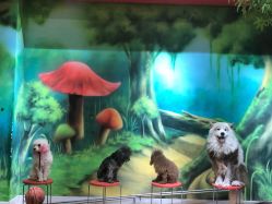 -未来动物城主题公园(正弘城店)