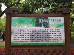 -御林古桑园