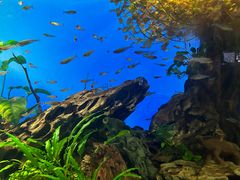 -太平洋海底世界