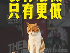 -长沙友阿奥特莱斯