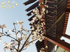 -中海·庐山西海君澜度假酒店·味屿全日制餐厅