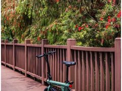 -深圳市中科院仙湖植物园