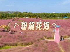 -南湖湿地公园