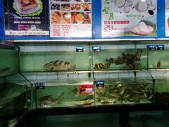 水产区-天鹰观渔(梦园店)