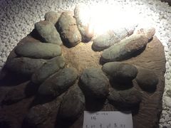 -二连浩特国家地质公园