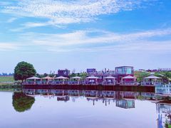 -空港花田景区