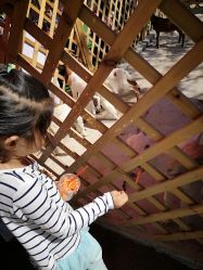 -萌宠亲子动物乐园(槐房万达店)