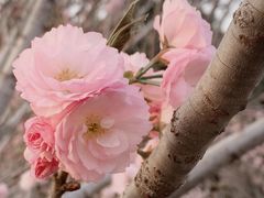 -观澜湖生态运动公社